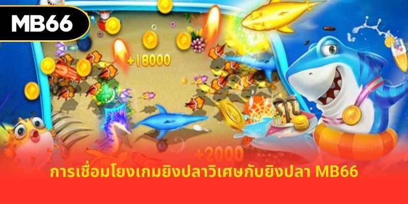 การเชื่อมโยงเกมยิงปลาวิเศษกับยิงปลา MB66