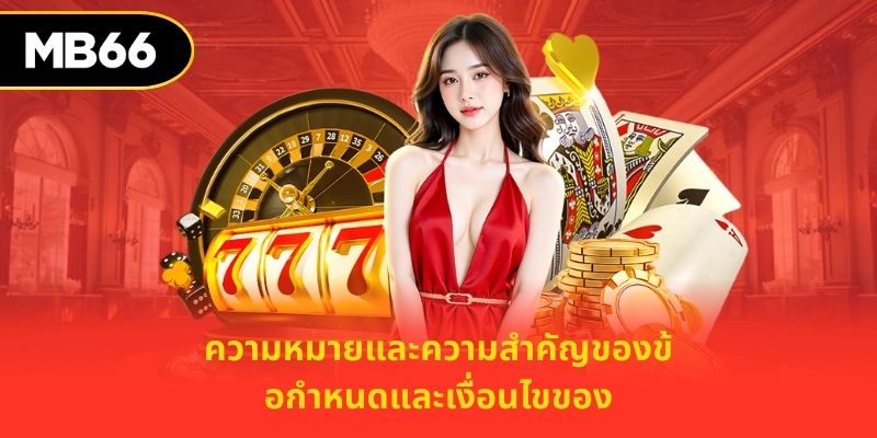 ความหมายและความสำคัญของข้อกำหนดและเงื่อนไขของ