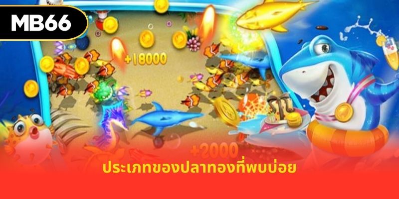 ประเภทของปลาทองที่พบบ่อย