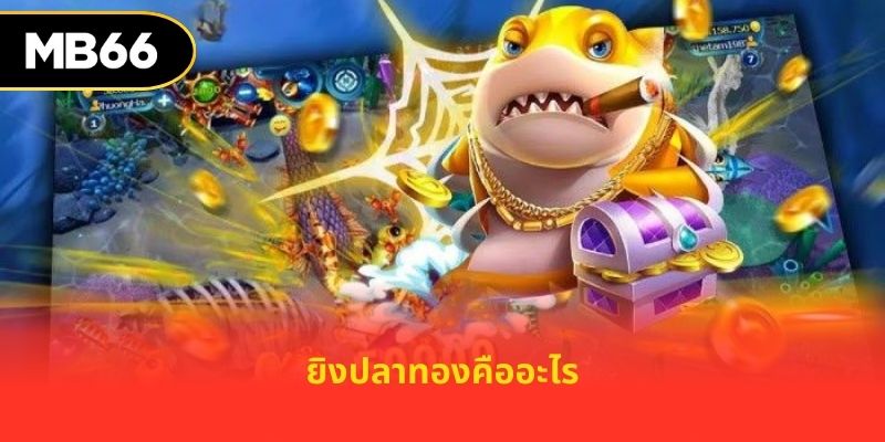 ยิงปลาทองคืออะไร